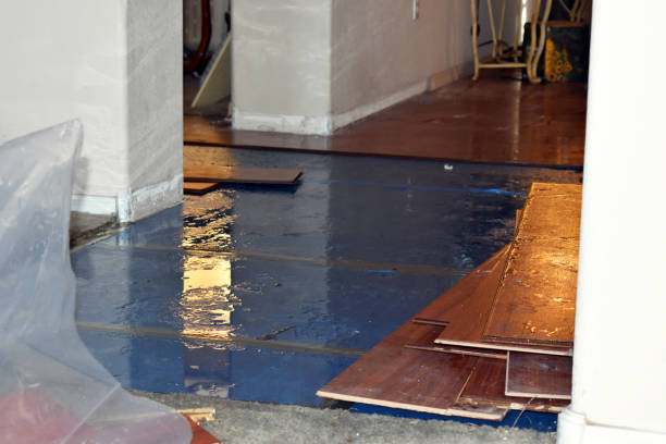 Professional Structural Drying technician working in Benzonia, MI